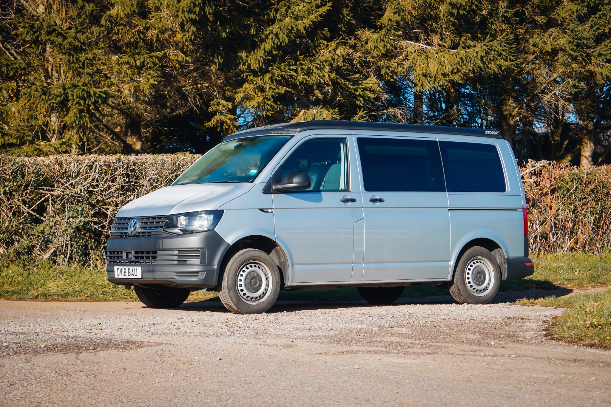 VW T6 Startline 101ps Campervan / Dog Carrier Van SWB - Image 4